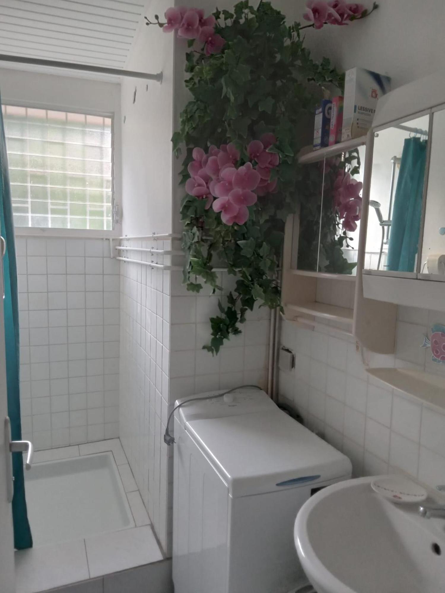 Appartamento Les Orchidees Sainte-Anne Esterno foto